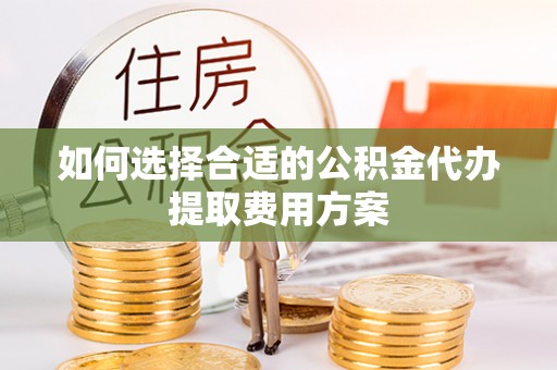 怒江如何选择合适的公积金代办提取费用方案