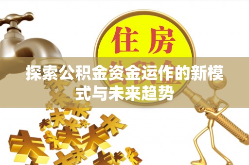 怒江探索公积金资金运作的新模式与未来趋势