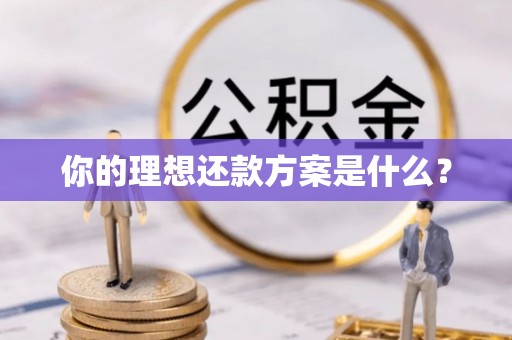 怒江你的理想还款方案是什么？