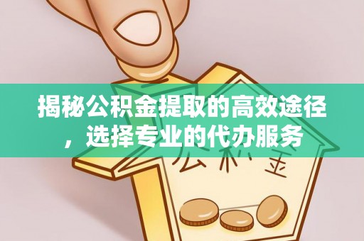怒江揭秘公积金提取的高效途径，选择专业的代办服务
