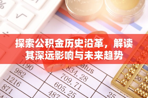 怒江探索公积金历史沿革，解读其深远影响与未来趋势