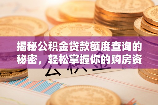 怒江揭秘公积金贷款额度查询的秘密，轻松掌握你的购房资金