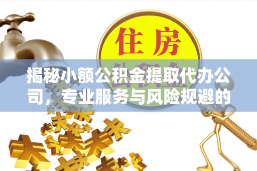 怒江揭秘小额公积金提取代办公司，专业服务与风险规避的平衡艺术