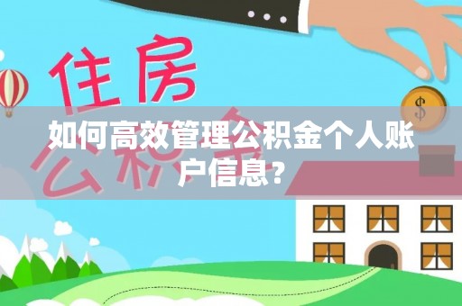 怒江如何高效管理公积金个人账户信息？
