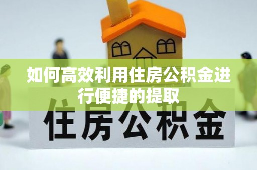 怒江如何高效利用住房公积金进行便捷的提取