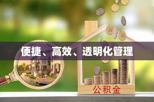 怒江便捷、高效、透明化管理