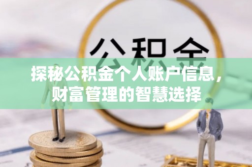 怒江探秘公积金个人账户信息，财富管理的智慧选择