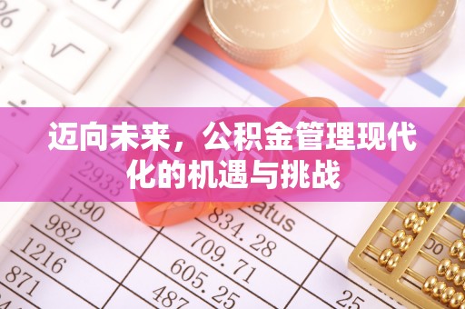 怒江迈向未来，公积金管理现代化的机遇与挑战