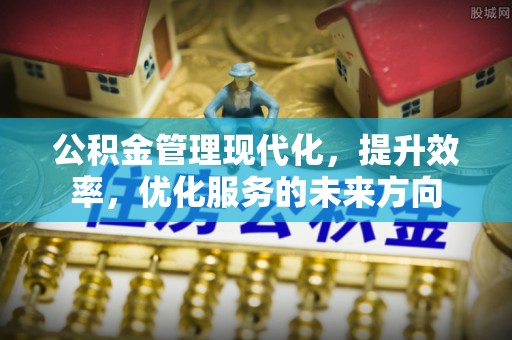 怒江公积金管理现代化，提升效率，优化服务的未来方向