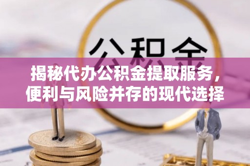 怒江揭秘代办公积金提取服务，便利与风险并存的现代选择