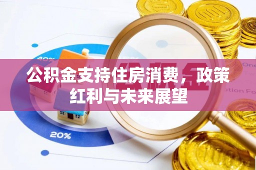 怒江公积金支持住房消费，政策红利与未来展望