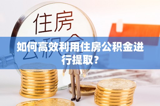 怒江如何高效利用住房公积金进行提取？