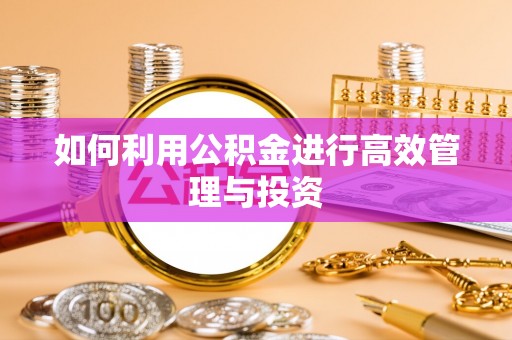怒江如何利用公积金进行高效管理与投资
