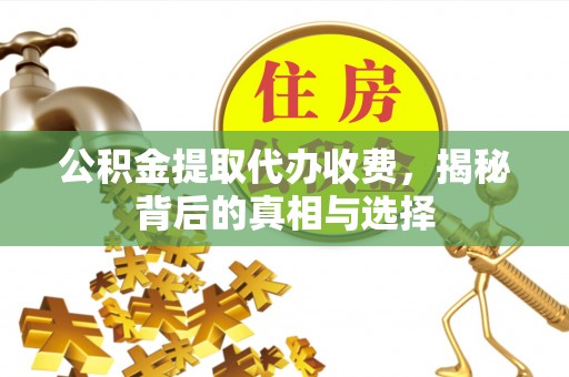 怒江公积金提取代办收费，揭秘背后的真相与选择