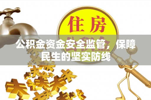 怒江公积金资金安全监管，保障民生的坚实防线