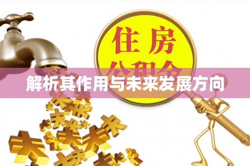 怒江解析其作用与未来发展方向