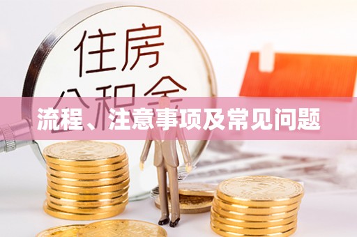 怒江流程、注意事项及常见问题