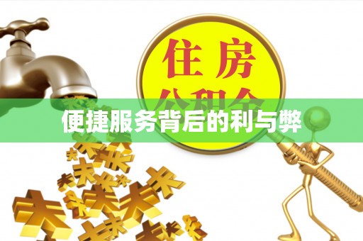 怒江便捷服务背后的利与弊