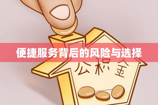 怒江便捷服务背后的风险与选择