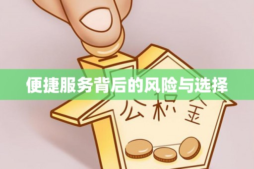 怒江便捷服务背后的风险与选择
