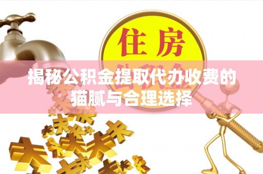 怒江揭秘公积金提取代办收费的猫腻与合理选择