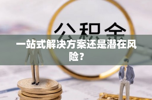 怒江一站式解决方案还是潜在风险？