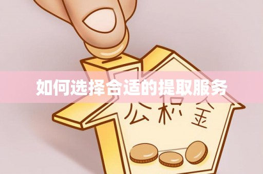 怒江如何选择合适的提取服务
